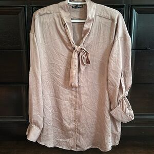 EXPRESS Champagne Blouse